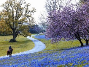 moving to handcross archibald removals park scene image